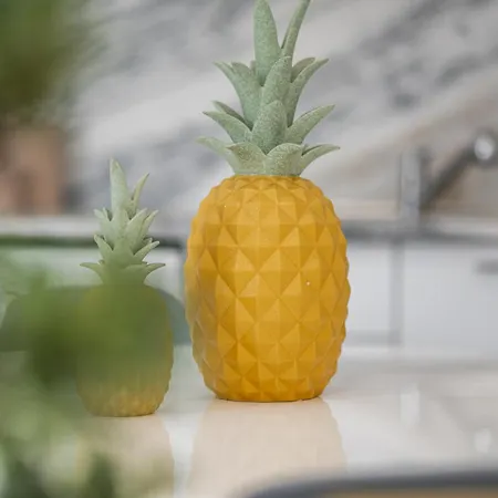 Seagull - Em * Εσποσέντε