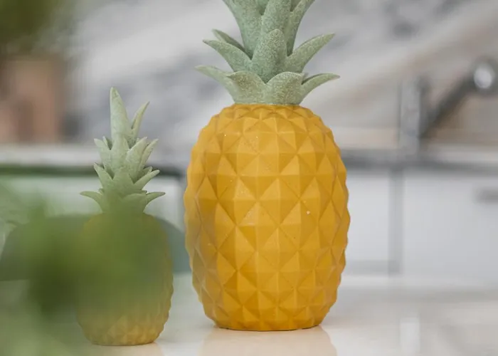 Seagull - Em * 에스포센데