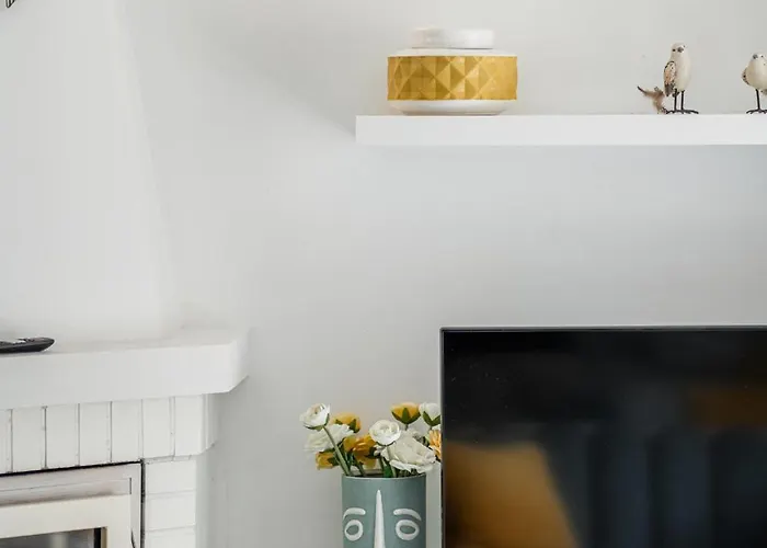 Seagull - Em * 에스포센데