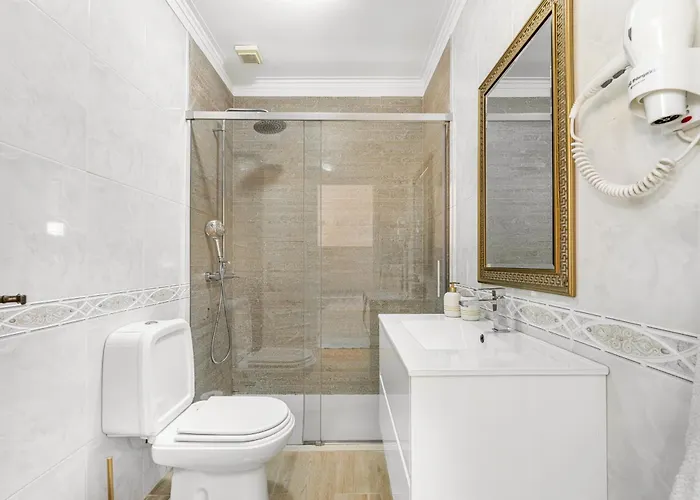 Seagull - Em * 에스포센데