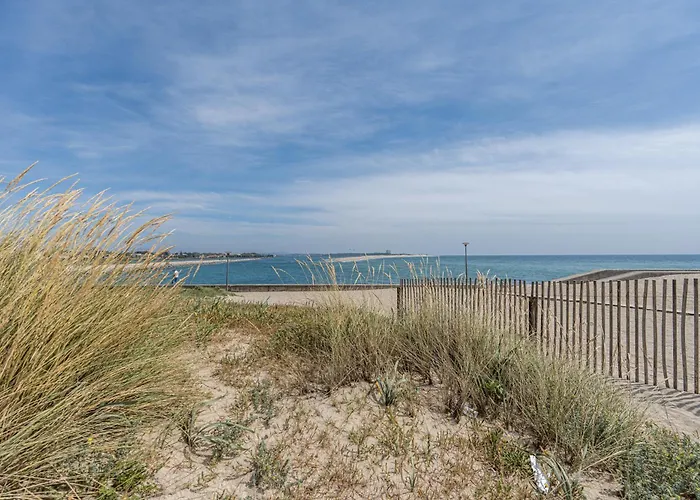 Seagull - Em * 에스포센데