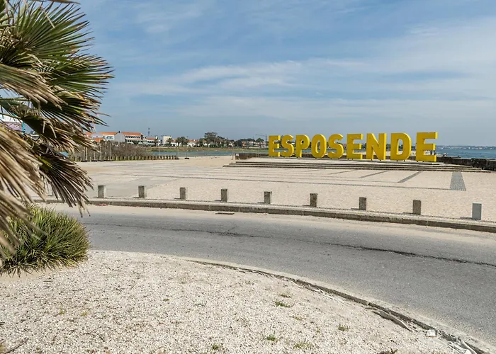 Seagull - Em 에스포센데