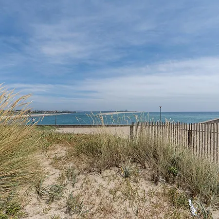 Seagull - Em * Esposende